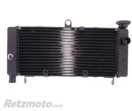 JMP- Radiateur refroidissement - Honda CB600 hornet 98/06(oem 19010-MBZ-611)