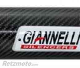 GIANNELLI Silencieux Aprilia RS4 50 2011