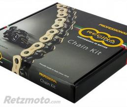 REGINA Kit Chaine Honda Cbr 1000 F