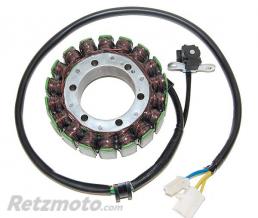 ELECTROSPORT Stator adaptable origine SUZUKI ELECTROSPORT