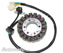 ELECTROSPORT Stator adaptable origine SUZUKI ELECTROSPORT