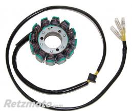 ELECTROSPORT Stator adaptable origine SUZUKI ELECTROSPORT