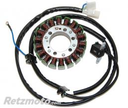 ELECTROSPORT Stator adaptable origine YAMAHA ELECTROSPORT