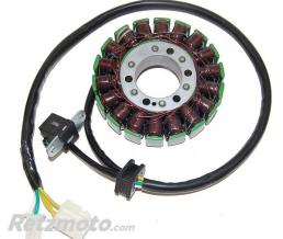 ELECTROSPORT Stator adaptable origine SUZUKI ELECTROSPORT