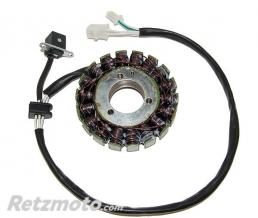 ELECTROSPORT Stator adaptable origine SUZUKI ELECTROSPORT