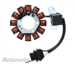 ELECTROSPORT Stator adaptable origine PIAGGIO ELECTROSPORT