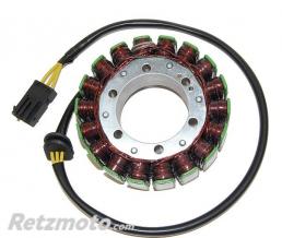 ELECTROSPORT Stator adaptable origine MOTO BMW ELECTROSPORT