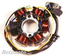 ELECTROSPORT Stator adaptable origine HONDA ELECTROSPORT