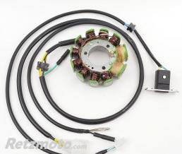 ELECTROSPORT Stator adaptable origine HONDA ELECTROSPORT