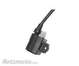 SGR Bobine allumage Suzuki 125/150 AN/UE/EPICURO