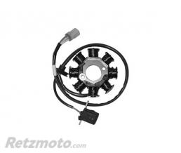 SGR Stator 8 P�les Adapt.KYMCO PEOPLE 125/150