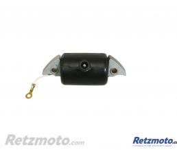 SGR Bobine allumage HT Adaptable BOSCH (R�f.2204211051)