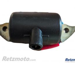 SGR Bobine HT Adaptable BOSCH GARELLI-GUZZI Trotter-JLO