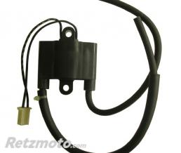 SGR Bobine Allumage Suzuki XF650 Freewind(oem 33410-04F00)