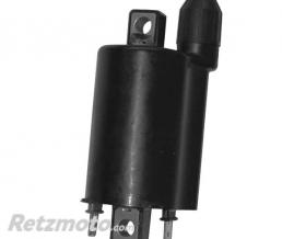 SGR Bobine allumage HT Daelim/Kymco Gran Dink 250/Maxer 300