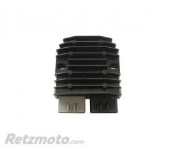 SGR R�gulateur tension Triumph 675 Street Triple/Yamaha FZ8/TDM900