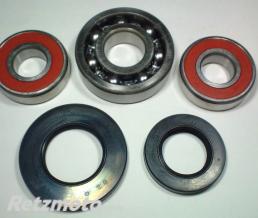 KIT ROULEMENTS DE ROUE ARRIERE + JOINTS SPYS POUR RF900R 1994-97 ET GSX-R1100W 1993-98