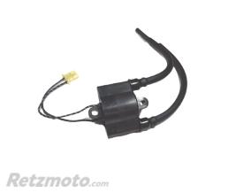 TOURMAX Bobine Allumage Suzuki DR650/DR600(33410-12D00)