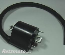 Bobine d'allumage TOURMAX Suzuki SV1000 N/S