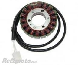 ELECTROSPORT Stator ELECTROSPORT - Yamaha XJ 600 S DIVERSION