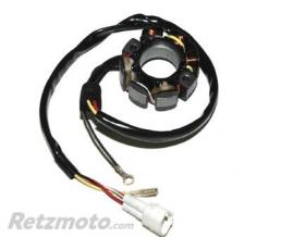 ELECTROSPORT Stator ELECTROSPORT - HUSABERG FC 450