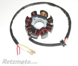 ELECTROSPORT Stator ELECTROSPORT - HUSABERG FE 450