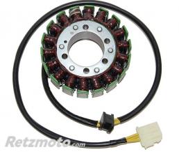 ELECTROSPORT Stator ELECTROSPORT - Ducati MONSTER 1000