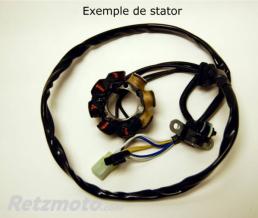 Stator ELECTROSPORT - Suzuki RM125/250