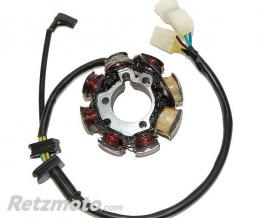 ELECTROSPORT Stator ELECTROSPORT - Honda TRX250