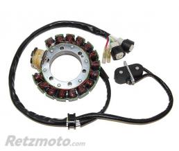 ELECTROSPORT Stator ELECTROSPORT Yamaha YFM350X Warrior
