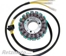 ELECTROSPORT Stator adaptable SUZUKI GS 500/650/800