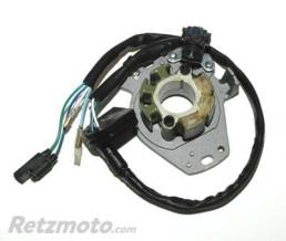 ELECTROSPORT Stator ELECTROSPORT - Honda CR250R '92