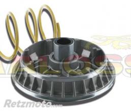 MALOSSI Variateur MALOSSI Multivar Suzuki Burgman 400