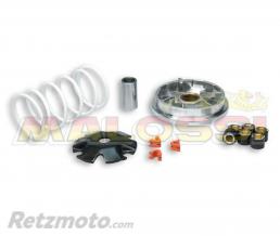 Variateur MALOSSI Multivar Honda Vision 110 4tps