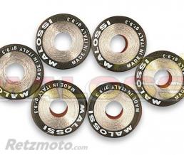 Galets �19X15,5 - 2,7g Malossi par 6